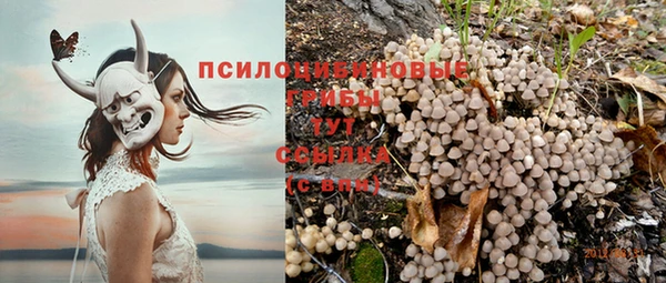 трава Абаза