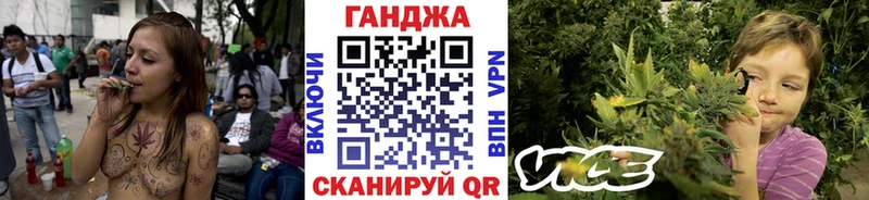 Марихуана конопля Куртамыш
